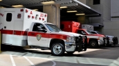 Trauma-Informed Care Needed for Victims of Violence in the ED